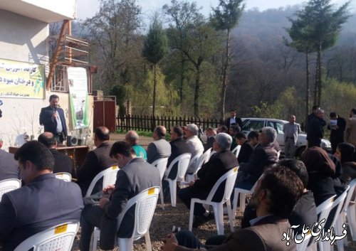 کارگاه آموزش کشت گیاهان دارویی با حضور فرماندار