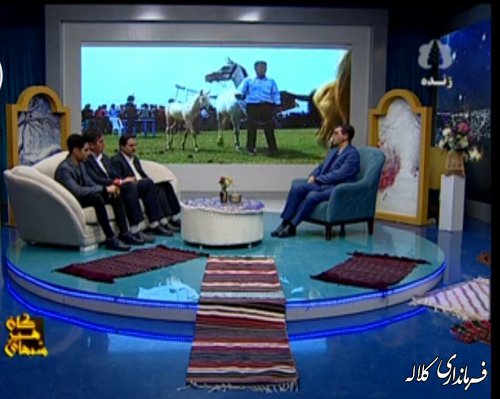 مصاحبه زنده تلویزیونی فرماندارکلاله با صدا و سیمای مرکز گلستان