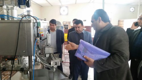 بازدید مدیرکل تعاون، کار و رفاه اجتماعی گلستان از طرح های اشتغالزایی روستایی و عشایری مراوه تپه
