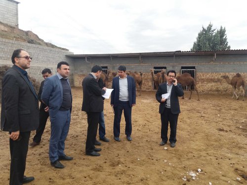 بازدید مدیرکل تعاون، کار و رفاه اجتماعی گلستان از طرح های اشتغالزایی روستایی و عشایری مراوه تپه