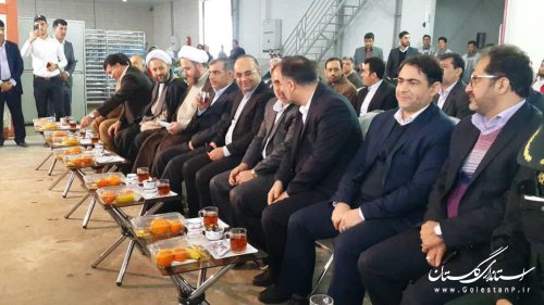 افتتاح متمرکز 40 پروژه اشتغالزا روستایی استان گلستان