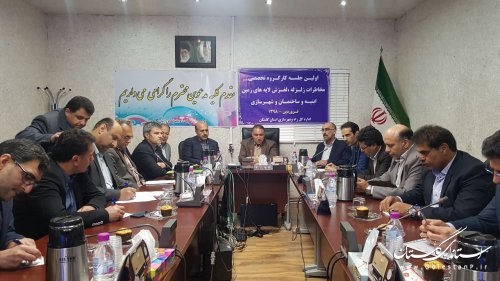 اولین جلسه کارگروه تخصصی مخاطرات زلزله و لغزش های زمین در راه و شهرسازی گلستان برگزار شد