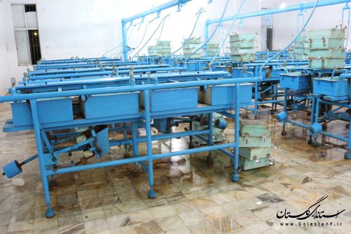 تولید یک میلیون و 300 هزار لارو خاویاری در مرکز شهید مرجانی