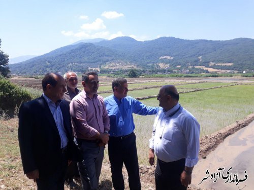 بازدید فرماندار شهرستان آزادشهر از طرح یکپارچه سازی اراضی نسق کشاورزی در شهر نوده خاندور