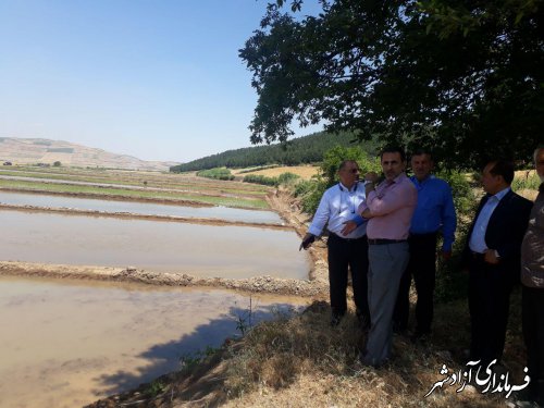 بازدید فرماندار شهرستان آزادشهر از طرح یکپارچه سازی اراضی نسق کشاورزی در شهر نوده خاندور