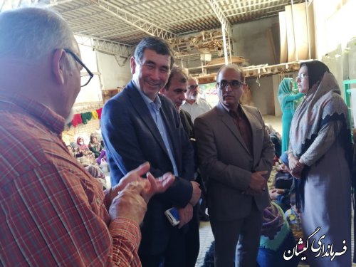 سرپرست فرماندار از طرح ایجاد اشتغال پایدار بازدید کرد