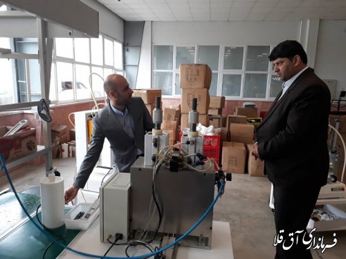 نماینده عالی دولت از واحد تولیدی‹‹صبا نور››شهرک صنعتی آق قلا بازدید بعمل آورد