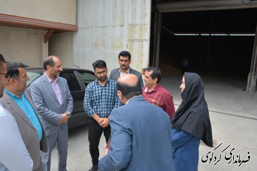 با میانگین برداشت ۳۷۰۰ کیلو در هکتار تاکنون ۸ هزارتن گندم از دهقانان خریداری شده است‌
