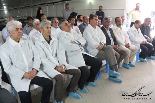 انتقال نخستین محموله بچه میگو تولید شده در استان به مجتمع پرورش میگو گمیشان