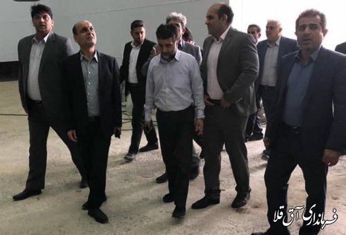 استاندار گلستان از واحدهای تولیدی احیا شده شهرک صنعتی آق قلا بازدید بعمل آورد