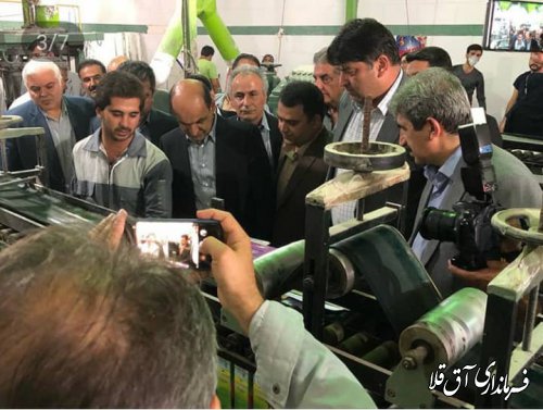 استاندار گلستان از واحدهای تولیدی احیا شده شهرک صنعتی آق قلا بازدید بعمل آورد