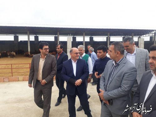 افتتاح پروژه آبیاری تحت فشار جهادکشاورزی شهرستان آزادشهر 