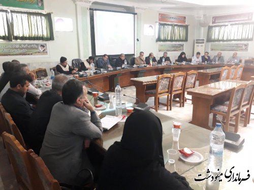 طرح اشتغالزایی سحاب در مینودشت مورد بررسی قرار گرفت
