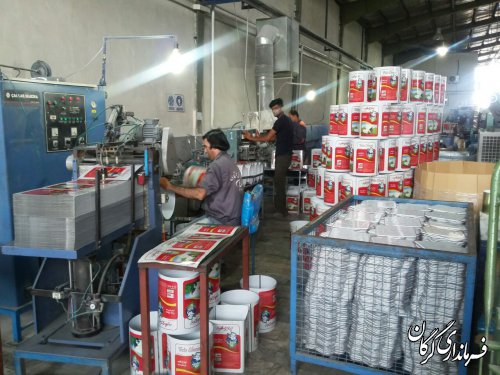 با بازنگری اراضی واگذار شده زمین برای متقاضیان جدید در شهرک های صنعتی بوجود خواهد آمد
