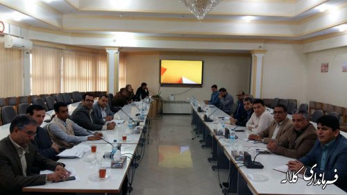 تاکنون ۳۹ درصد تعهد اشتغال کلاله در سال جاری تحقق یافته است