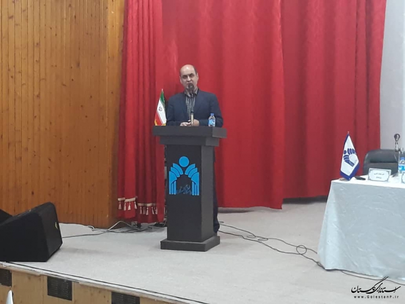 افزایش کشت شالی یکی از آثار مثبت سیل گلستان است