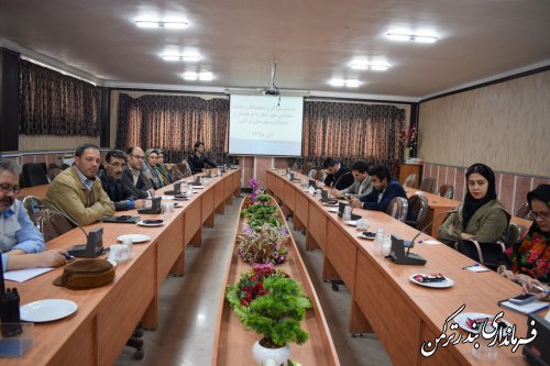 معلولیت را محدودیت نمی دانیم