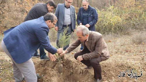 طرح ملی نهضت سبز در شهرستان کلاله به اجرا درآمد