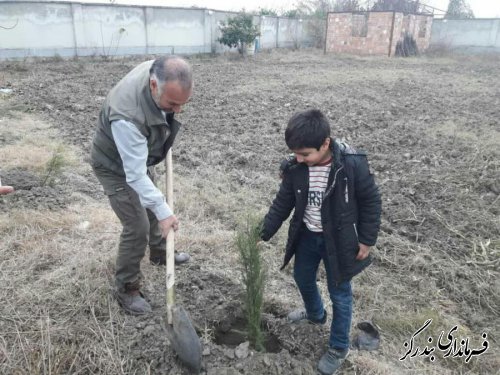 نهضت درختکاری در بندرگز آغاز شد