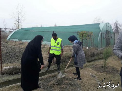 نهضت درختکاری در بندرگز آغاز شد