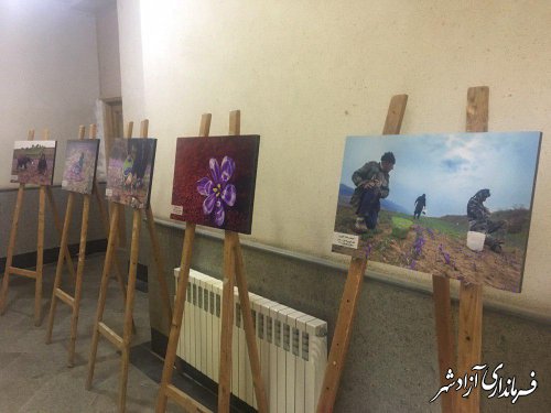 اولین جشنواره عکس زعفران وامنان در شهرستان آزادشهر برگزار شد