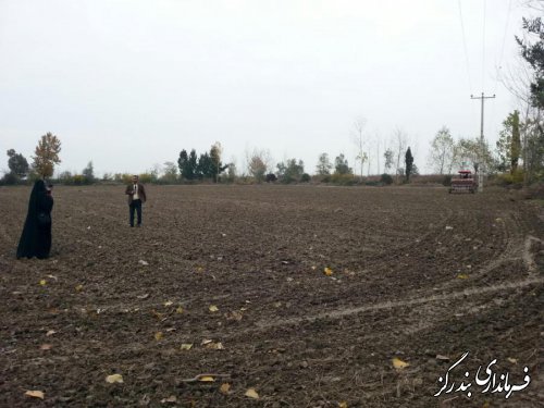 آغاز کشت دانش بنیان در اراضی موقوفه گلستان