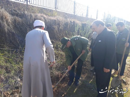 کاشت ده هزار درخت در شهرستان مینودشت