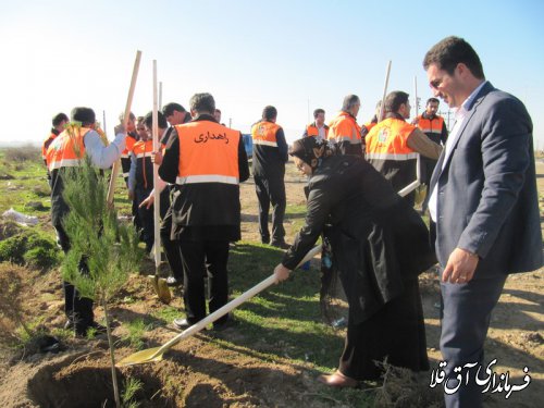 آغاز نهال کاری محور مواصلاتی آق قلا به اینچه برون بطول 5 کیلومتر