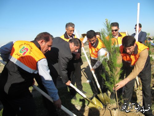 آغاز نهال کاری محور مواصلاتی آق قلا به اینچه برون بطول 5 کیلومتر