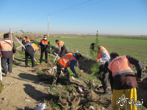 آغاز نهال کاری محور مواصلاتی آق قلا به اینچه برون بطول 5 کیلومتر