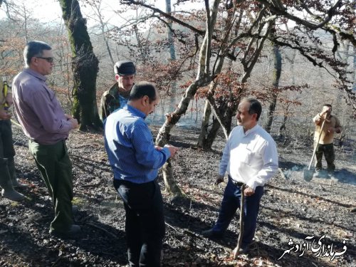 آتش سوزی در جنگل های لاشوی شهرستان آزادشهر به طور کامل اطفا و مهار شد
