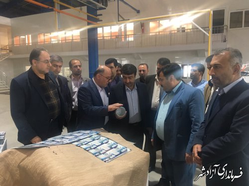 بازدید معاون اقتصادی استاندار و جمعی از مدیران کل استانی از 3 واحد صنعتی در آزادشهر