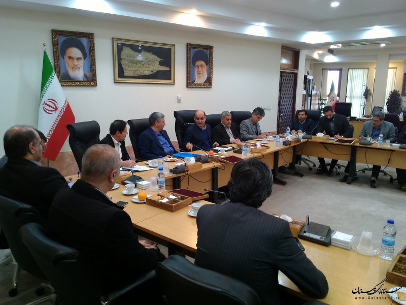 گلستان می تواند نقش موثری در واردات چوب داشته باشد