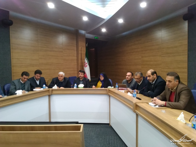 ایجاد شهر جهانی فرش ترکمن در گنبدکاووس مشکلات فروش فرش ترکمن در استان را برطرف می کند