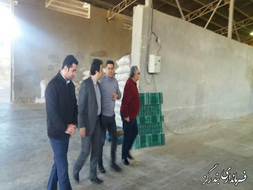 بازدید فرماندار بندرگز از واحد تولیدی خوراک دام و طیور بنفش تپه