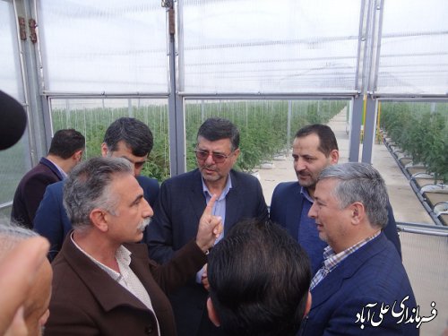افتتاح متمرکز 114 پروژه عمرانی و طرح تولیدی اشتغال زا در شهرستان علی آبادکتول