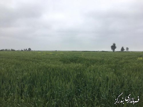 بازدید فرماندار بندرگز و مدیر آب و خاک گلستان از روند اجرای عملیات زهکشی اراضی ساحلی
