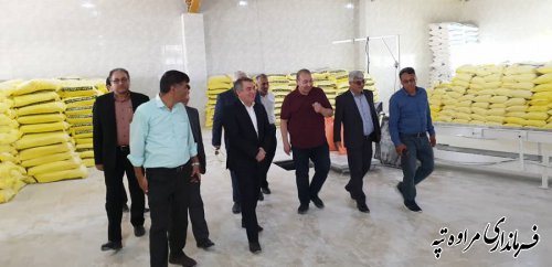 بازدید معاون هماهنگی امور اقتصادی استانداری گلستان  و فرماندار مراوه تپه از مرکز سیلوی گندم آرد خوشه چناران