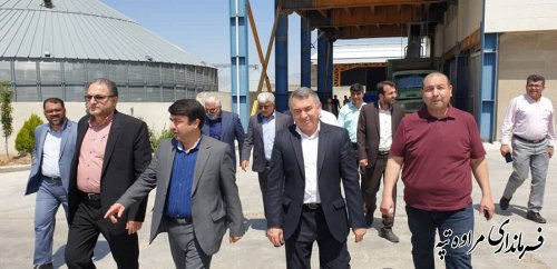 بازدید معاون هماهنگی امور اقتصادی استانداری گلستان  و فرماندار مراوه تپه از مرکز سیلوی گندم آرد خوشه چناران