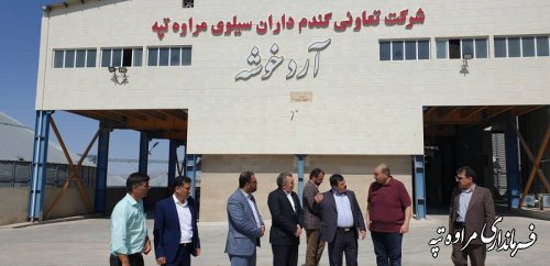 بازدید معاون هماهنگی امور اقتصادی استانداری گلستان  و فرماندار مراوه تپه از مرکز سیلوی گندم آرد خوشه چناران