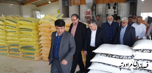 بازدید معاون هماهنگی امور اقتصادی استانداری گلستان  و فرماندار مراوه تپه از مرکز سیلوی گندم آرد خوشه چناران
