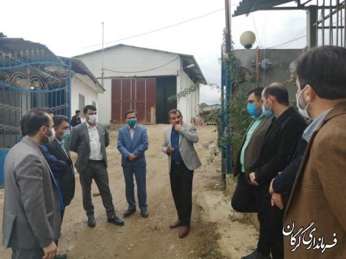 بازدید سر زده از چند مرغداری در گرگان