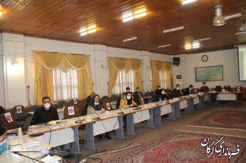 پرداخت ٣۶٠ میلیارد ریال تسهیلات به بنگاه های آسیب دیده از کرونا در گرگان