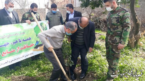 غرس نهال توسط فرماندار مینودشت به مناسبت هفته منابع طبیعی