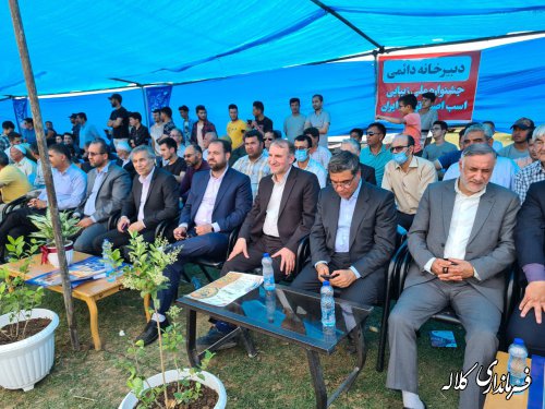 اسب اصیل ترکمن یکی از ظرفیت های مهم کلاله در ایجاد اشتغال و تولید ثروت است