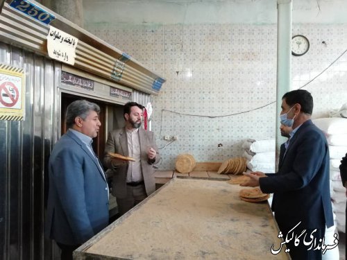 بازدید فرماندار شهرستان از برخی نانوایی‌های سطح شهر گالیکش