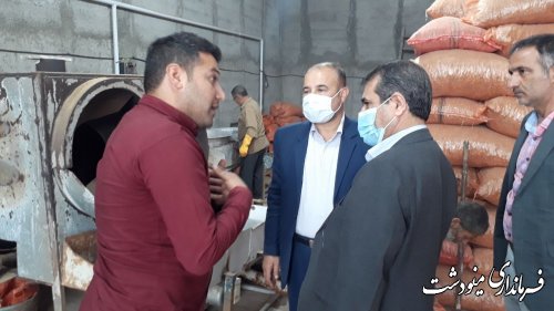 بازدید فرماندار از کارگاه فرآوری بادام زمینی در روستای پس پشته شهرستان مینودشت