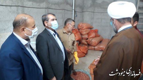 بازدید فرماندار از کارگاه فرآوری بادام زمینی در روستای پس پشته شهرستان مینودشت