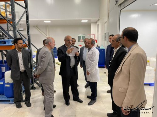 بازدید مدیرکل صنایع دفاعی سازمان پدافند غیرعامل از شهرک صنعتی آق قلا و کارخانه پگاه گلستان