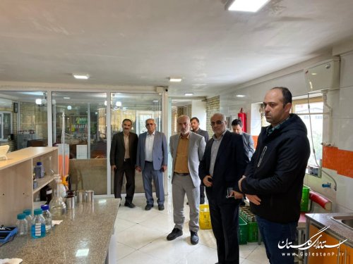 بازدید مدیرکل صنایع دفاعی سازمان پدافند غیرعامل از شهرک صنعتی آق قلا و کارخانه پگاه گلستان